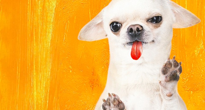 Half a liter of whatever